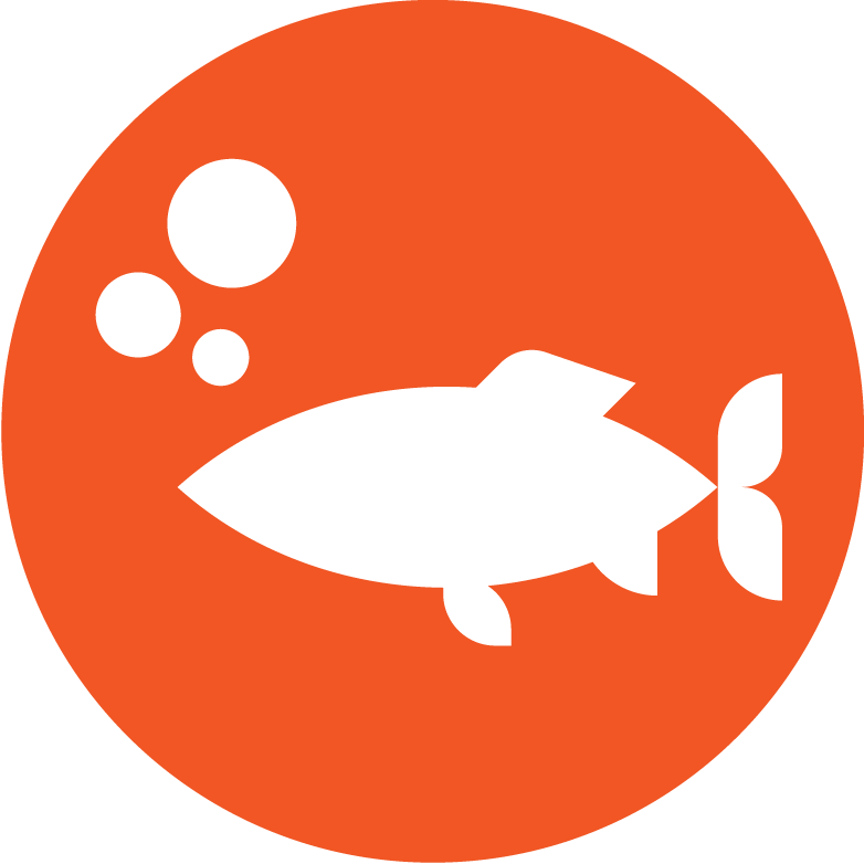 Fish Passage Action Team