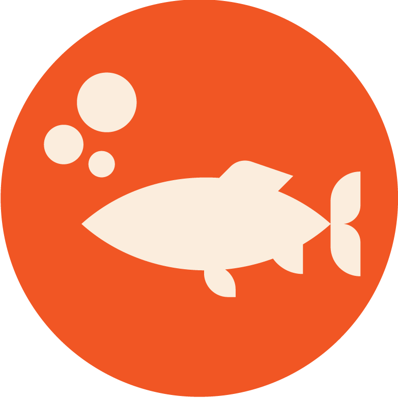 Fish Passage Action Team